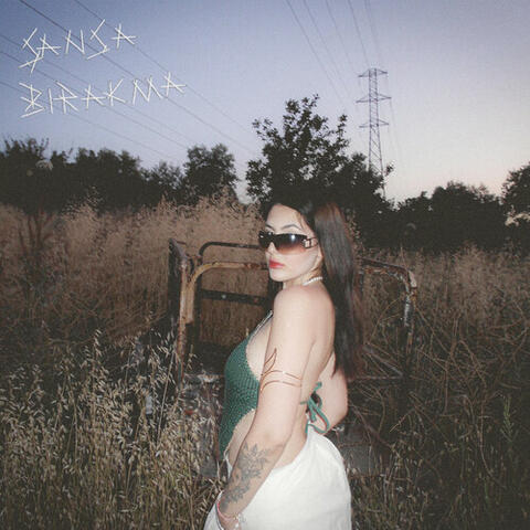 Şansa Bırakma album art