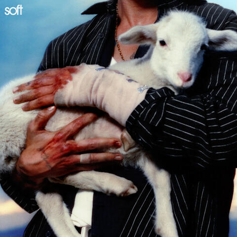 Soft album art