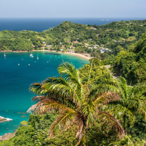 Trinidad album art