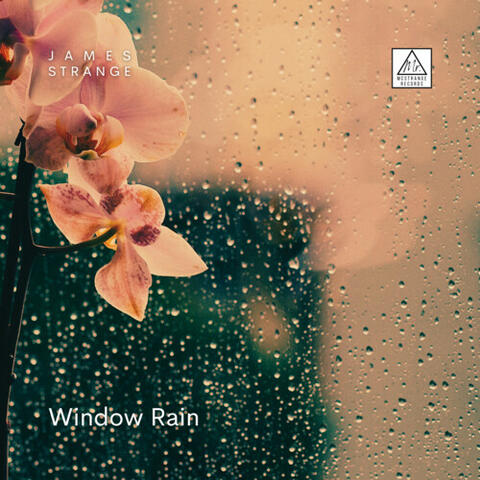 Window Rain album art