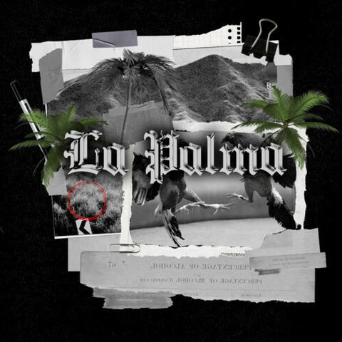 La Palma album art