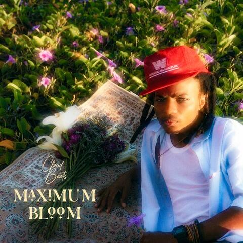 Maximum Bloom album art