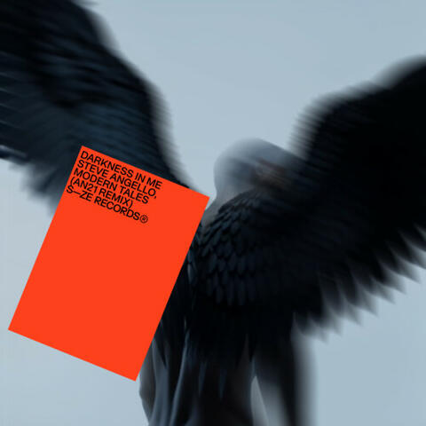 Darkness In Me (AN21 Remix) album art