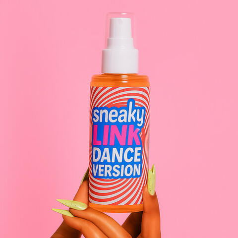 Sneaky Link (Dance Version) album art