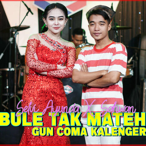 Bule Tak Mateh Gun Coma Kalenger album art