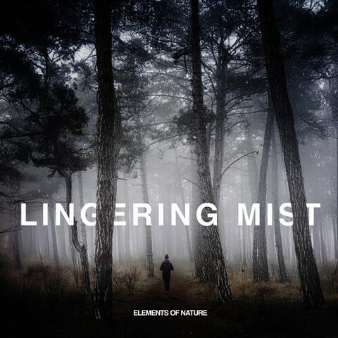 Lingering Mist album art