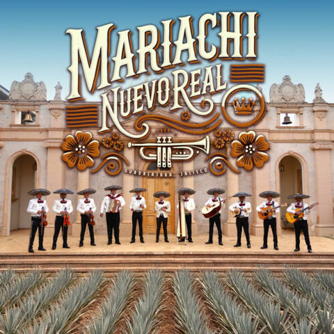 Sonido De Agave album art
