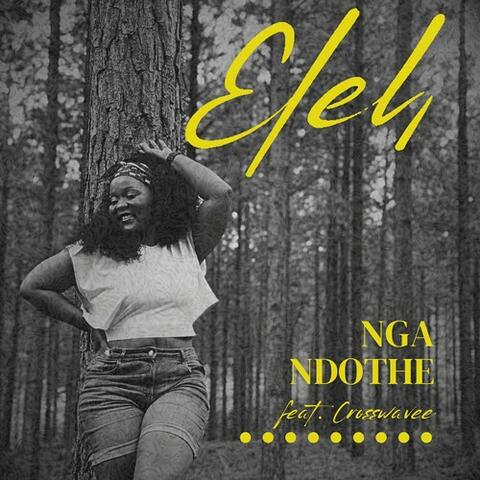 Nga Ndothe album art