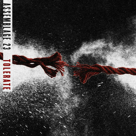 Tolerate album art