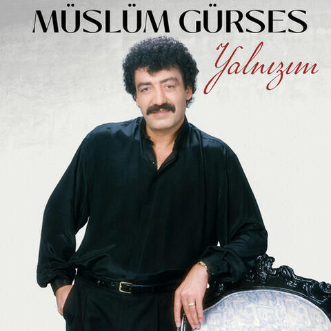 Yalnızım album art