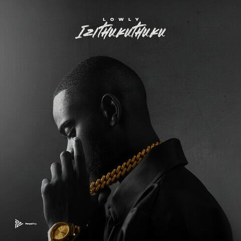 IZITHUTHUKUKU album art