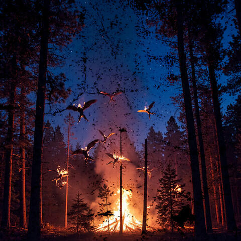 BURN album art