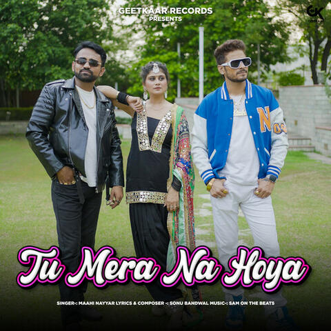 Tu Mera Na Hoya album art