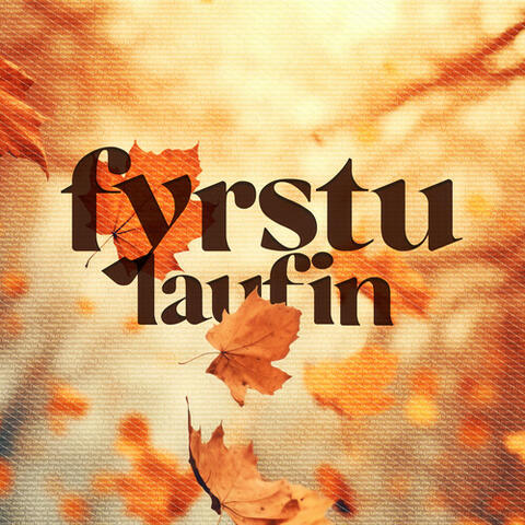 Fyrstu laufin album art