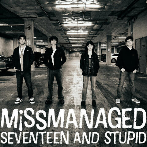 Seventeen and Stupid album art