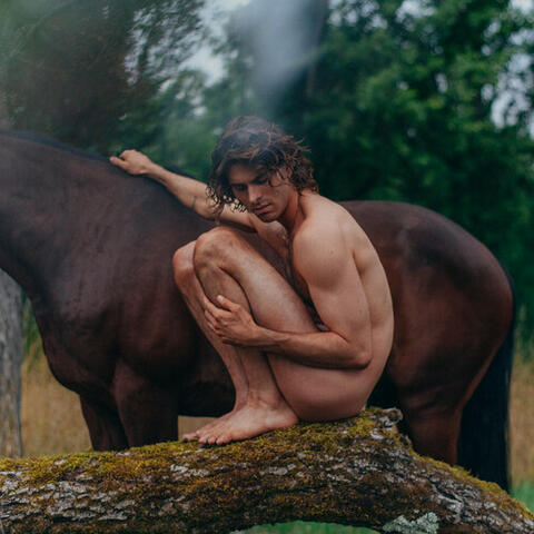 Jamais assez album art