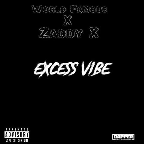 Excess Vibe album art