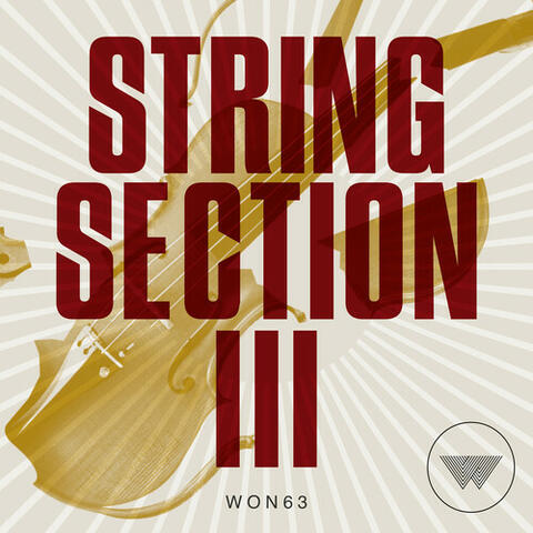 String Section III album art