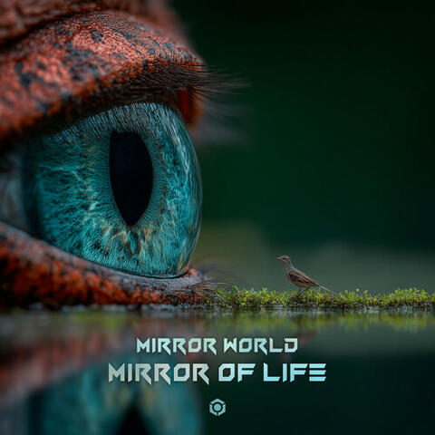 Mirror of Life album art