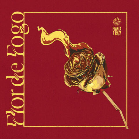Flor de Fogo album art
