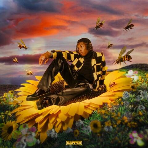 Mr Bee album art