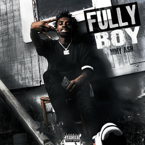 FullyBoy album art