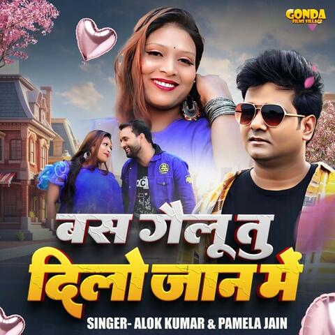 Bas Gayelu Tu Dilo Jaan Me album art