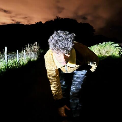 E det bare meg? album art