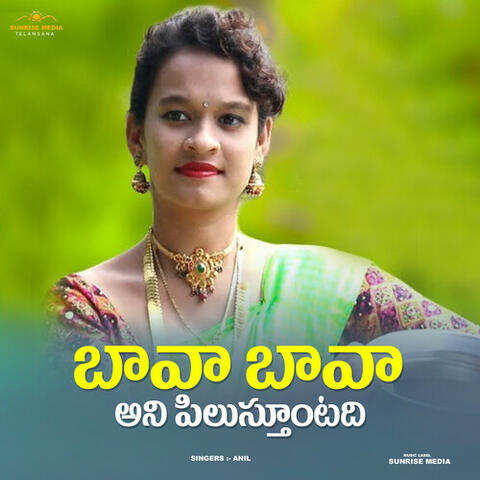 Bava Bava Ani Pilustuntadi album art