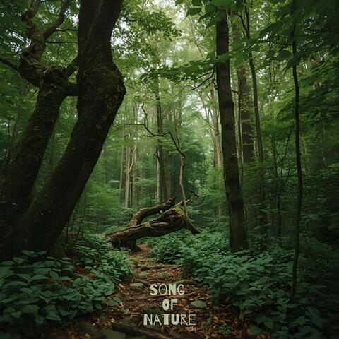 Song of Nature album art