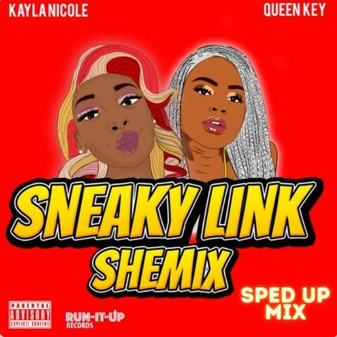 Sneaky Link Shemix album art