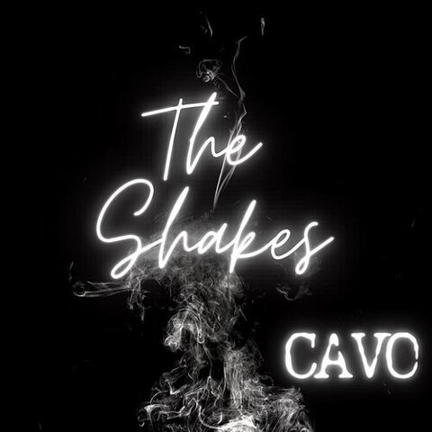 The Shakes album art
