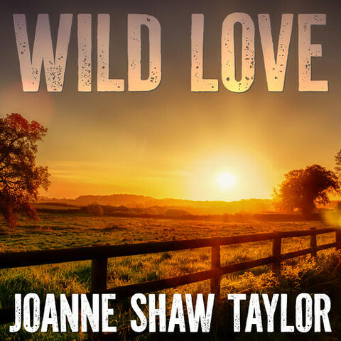 Wild Love album art