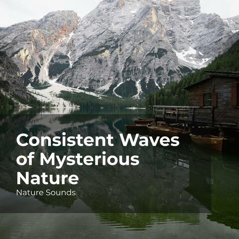 Consistent Waves of Mysterious Nature album art
