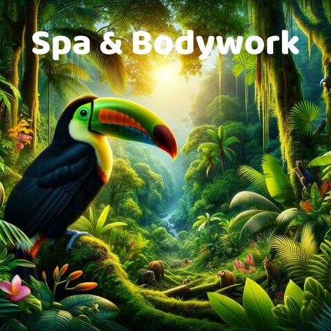 Spa & Bodywork: Revitalization Frequencies, Peaceful Wellness Oasis with Nature Sounds album art