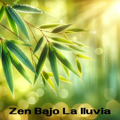 Zen Bajo La Iluvia: Meditación Pacífica para Aliviar el Estrés, Ansiedad y Preocupaciones, Toque de Naturaleza Curativa album art
