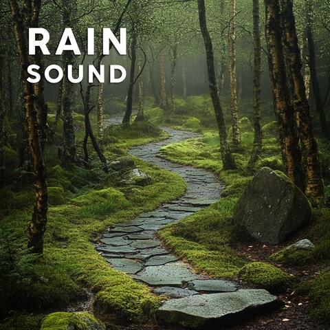 Forest Rain album art