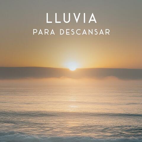Dicha costera album art