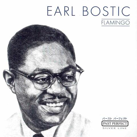 Flamingo album art
