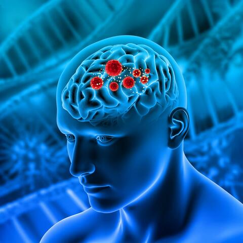 PTSD for Repairing the Wounded Mind album art