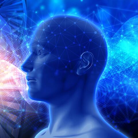 Removal of Negative Thoughts and Toxic album art