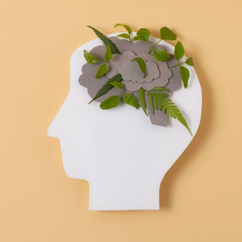 Mental Strength album art