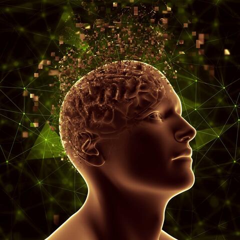 Open Mind and Boost Your Brain album art