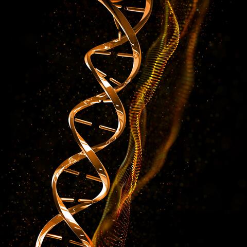 Solar DNA Keys album art
