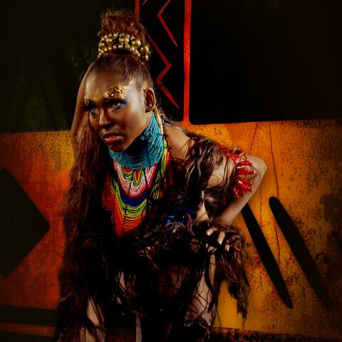 African Tribal Rituals album art