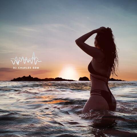 Endless Summer, Euphoric Voyage album art