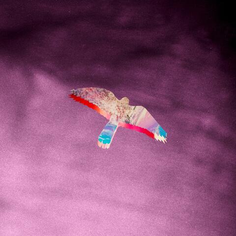 Боривітер album art