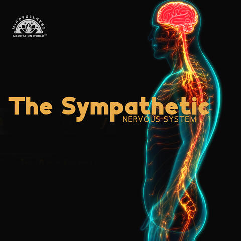 The Sympathetic Nervous System: Understanding, Feeling and Accepting Your Emotions, Volume 1, Psychotherapy Exercises at Home album art