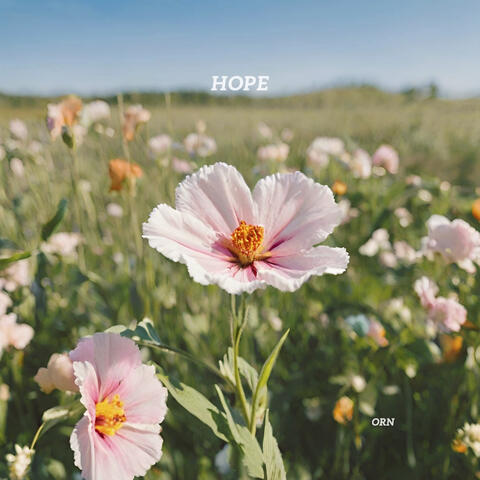 HOPE album art