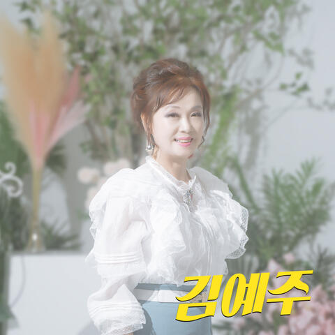 발티 연가 album art